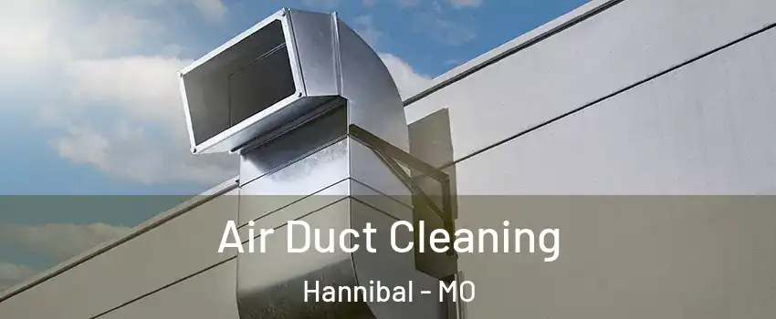  Air Duct Cleaning Hannibal - MO