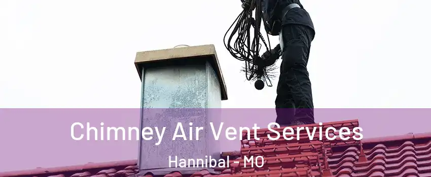  Chimney Air Vent Services Hannibal - MO