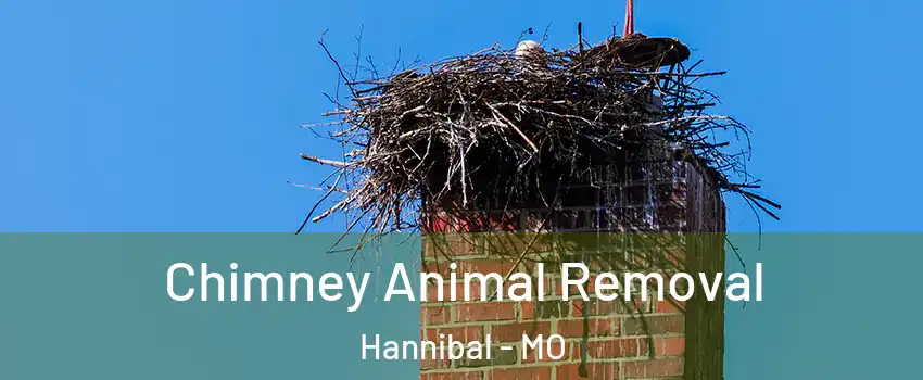  Chimney Animal Removal Hannibal - MO