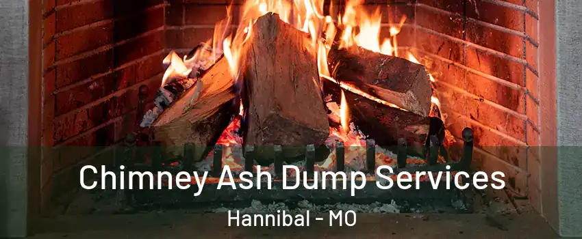  Chimney Ash Dump Services Hannibal - MO