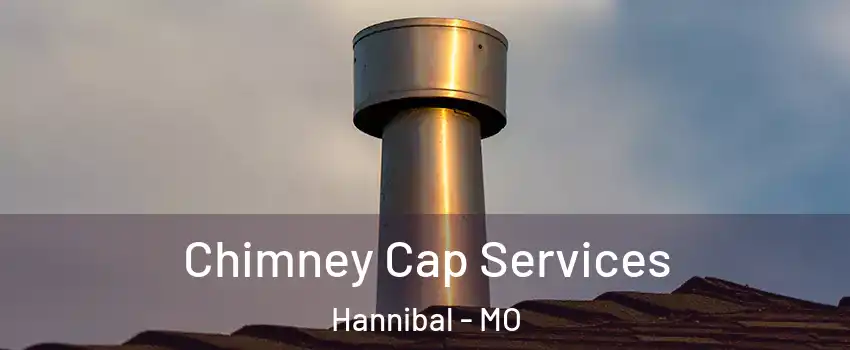  Chimney Cap Services Hannibal - MO