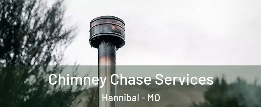  Chimney Chase Services Hannibal - MO