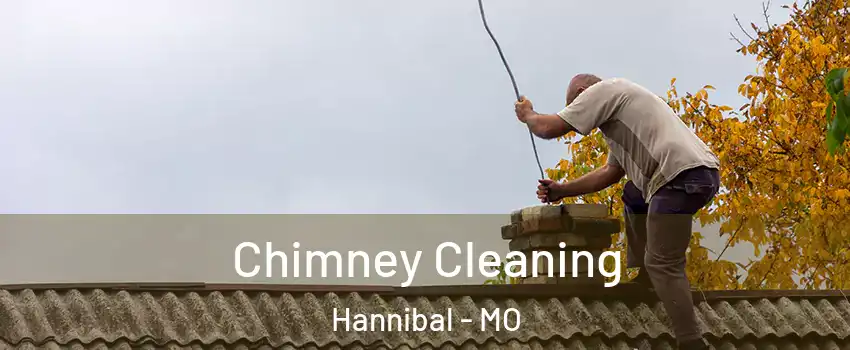  Chimney Cleaning Hannibal - MO