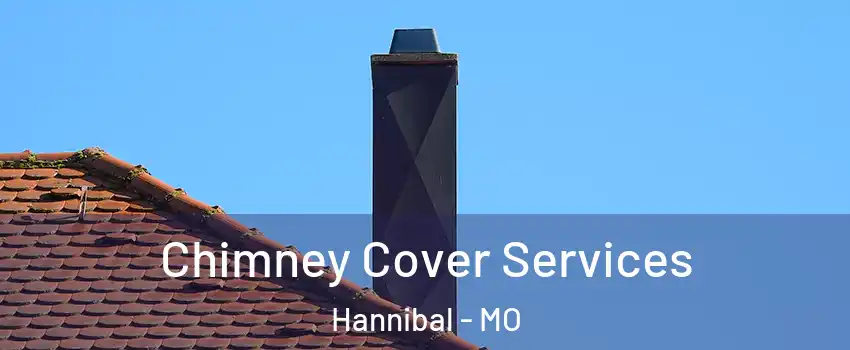  Chimney Cover Services Hannibal - MO