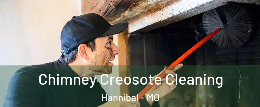  Chimney Creosote Cleaning Hannibal - MO