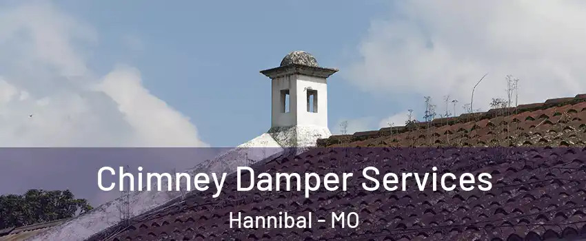  Chimney Damper Services Hannibal - MO