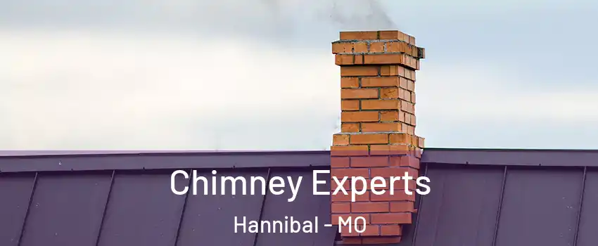  Chimney Experts Hannibal - MO