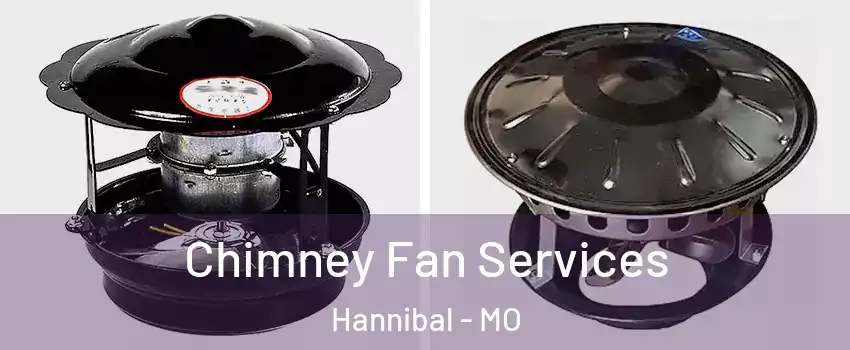  Chimney Fan Services Hannibal - MO