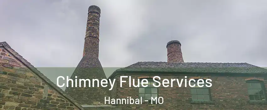  Chimney Flue Services Hannibal - MO