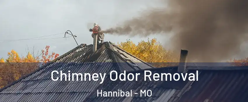  Chimney Odor Removal Hannibal - MO