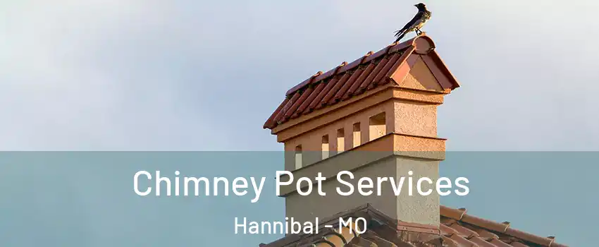  Chimney Pot Services Hannibal - MO