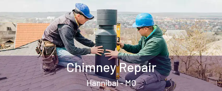  Chimney Repair Hannibal - MO