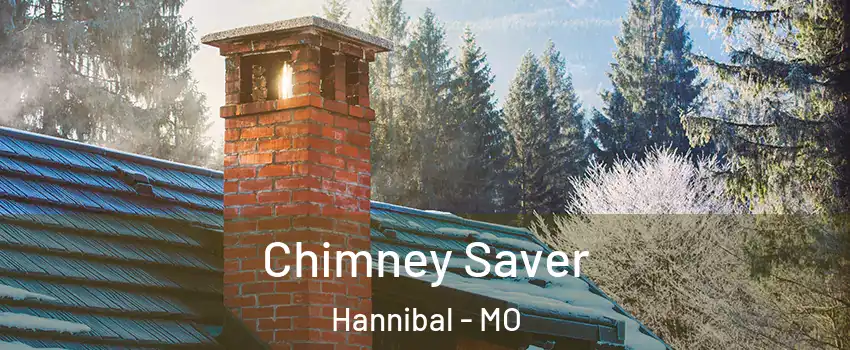  Chimney Saver Hannibal - MO