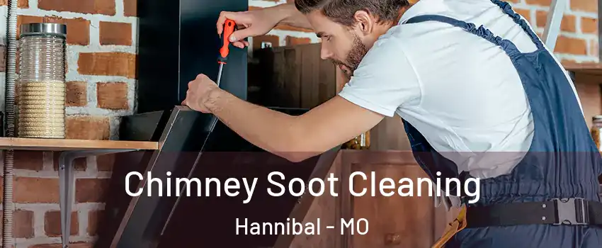  Chimney Soot Cleaning Hannibal - MO