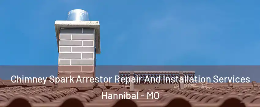  Chimney Spark Arrestor Repair And Installation Services Hannibal - MO
