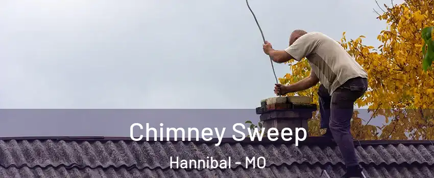  Chimney Sweep Hannibal - MO