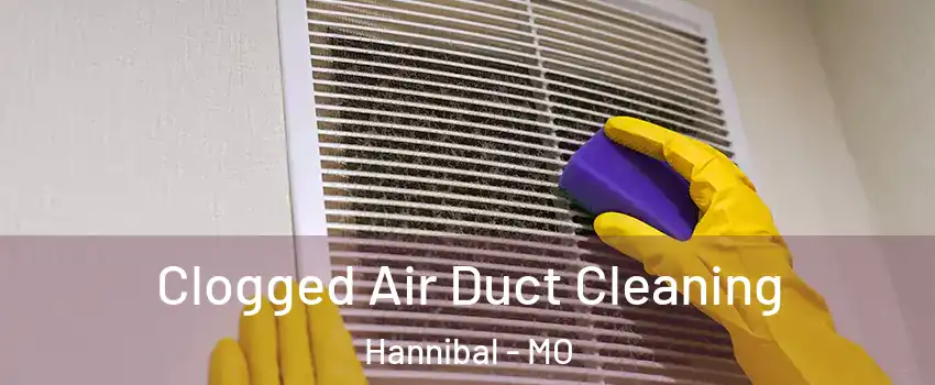  Clogged Air Duct Cleaning Hannibal - MO