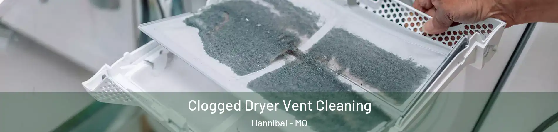  Clogged Dryer Vent Cleaning Hannibal - MO