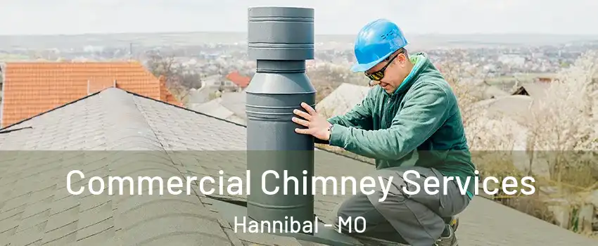  Commercial Chimney Services Hannibal - MO