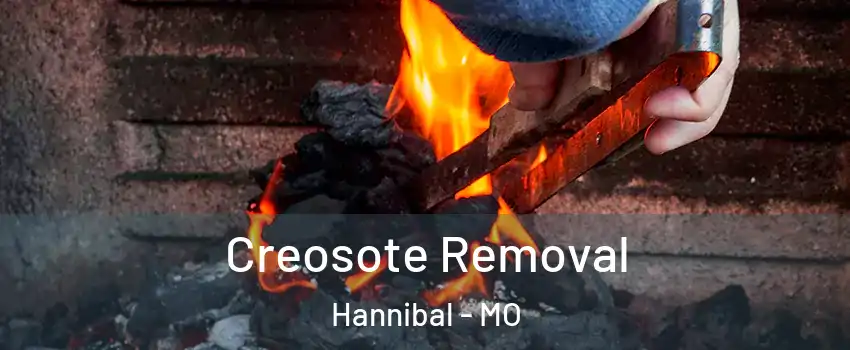  Creosote Removal Hannibal - MO