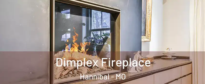  Dimplex Fireplace Hannibal - MO