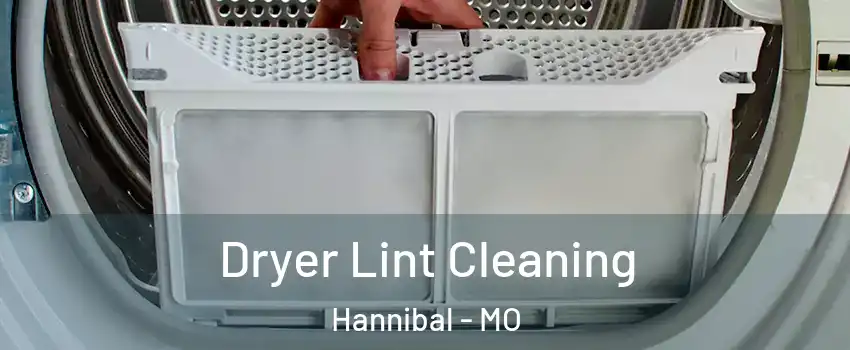  Dryer Lint Cleaning Hannibal - MO
