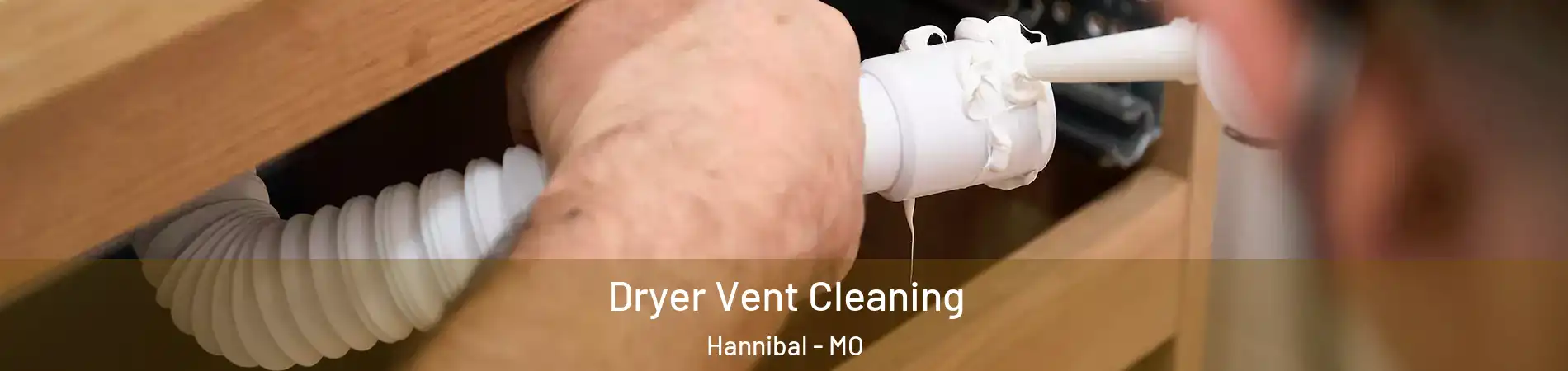  Dryer Vent Cleaning Hannibal - MO