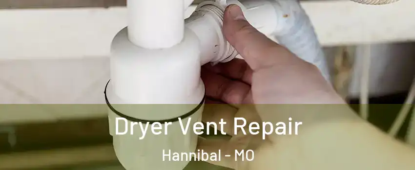  Dryer Vent Repair Hannibal - MO