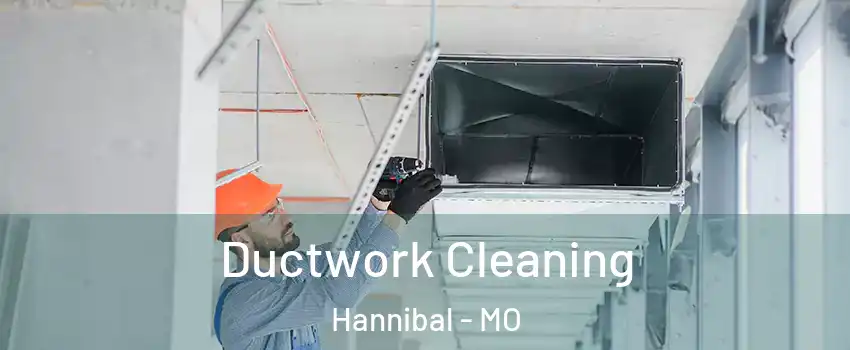  Ductwork Cleaning Hannibal - MO