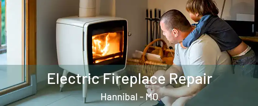  Electric Fireplace Repair Hannibal - MO