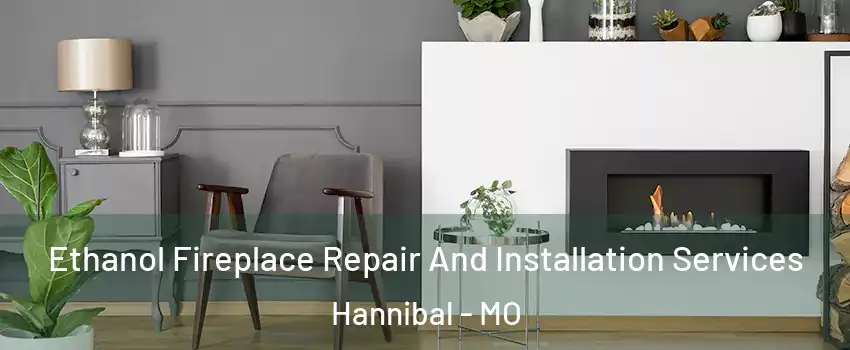  Ethanol Fireplace Repair And Installation Services Hannibal - MO