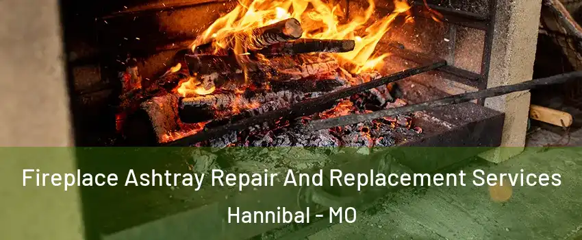  Fireplace Ashtray Repair And Replacement Services Hannibal - MO