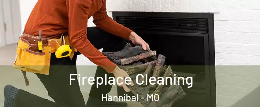  Fireplace Cleaning Hannibal - MO