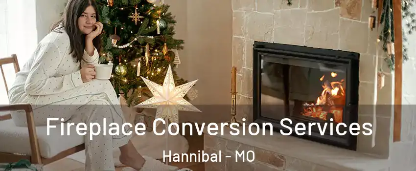  Fireplace Conversion Services Hannibal - MO