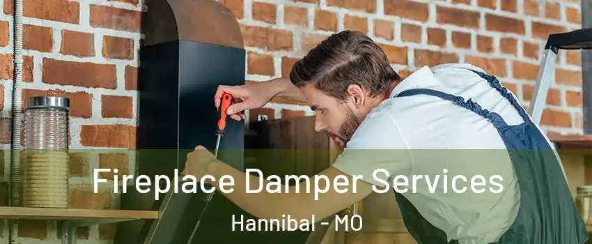  Fireplace Damper Services Hannibal - MO