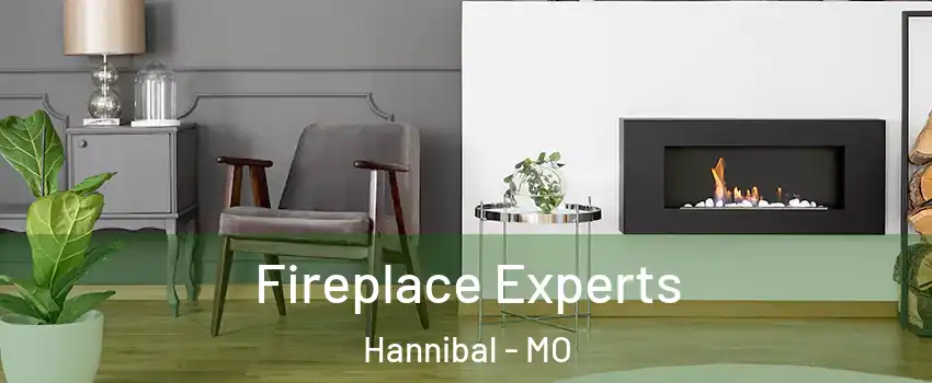  Fireplace Experts Hannibal - MO