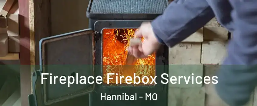  Fireplace Firebox Services Hannibal - MO