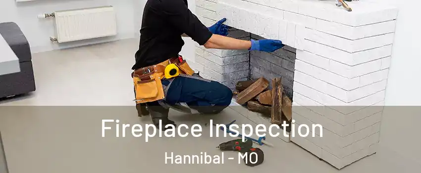  Fireplace Inspection Hannibal - MO