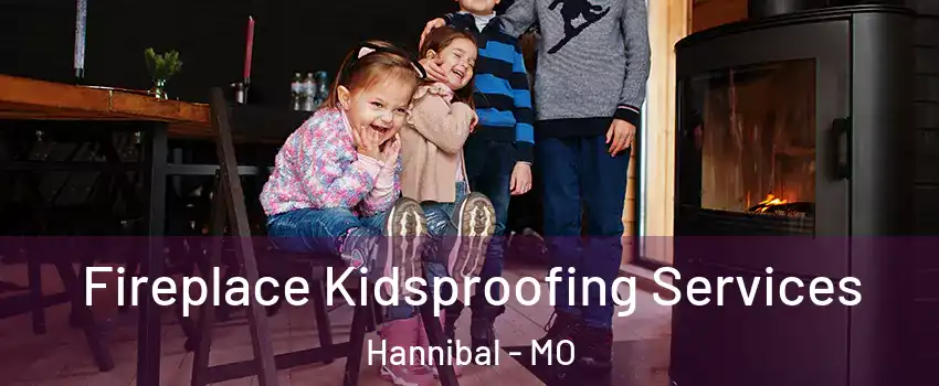  Fireplace Kidsproofing Services Hannibal - MO