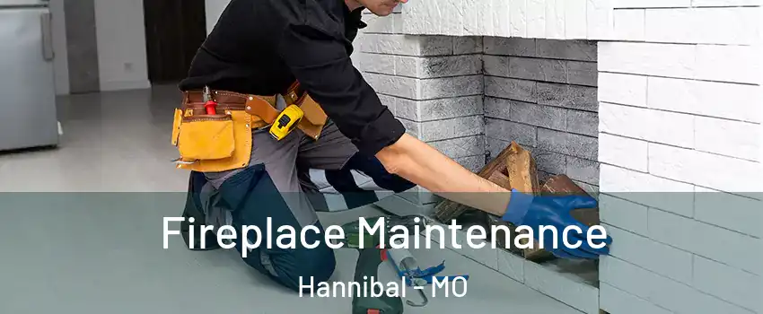  Fireplace Maintenance Hannibal - MO