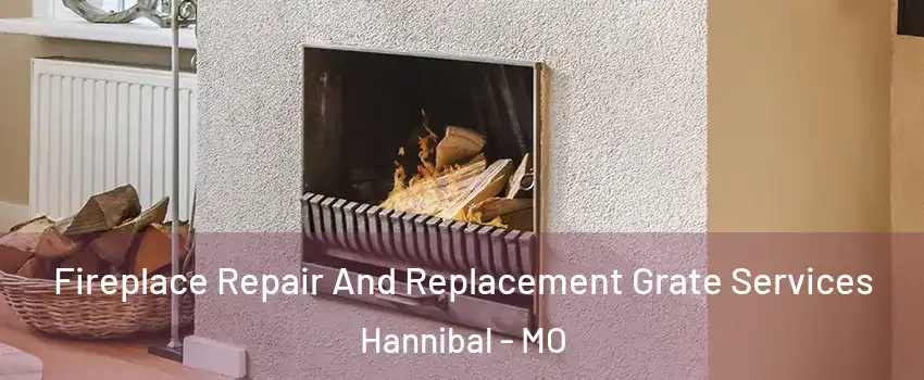  Fireplace Repair And Replacement Grate Services Hannibal - MO