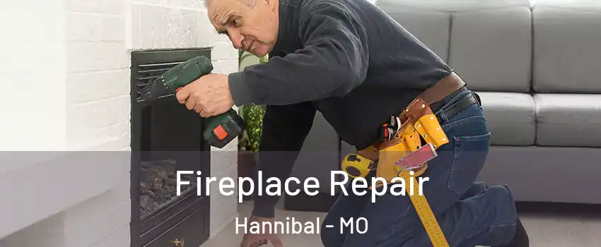  Fireplace Repair Hannibal - MO