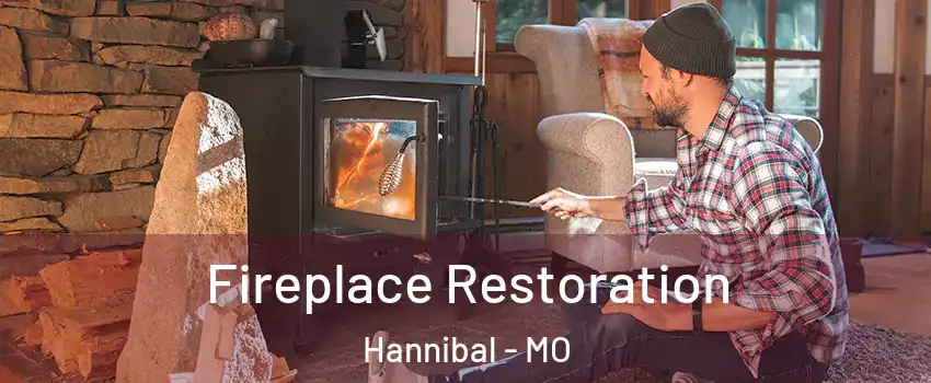  Fireplace Restoration Hannibal - MO