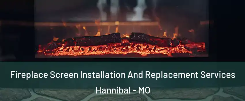 Fireplace Screen Installation And Replacement Services Hannibal - MO
