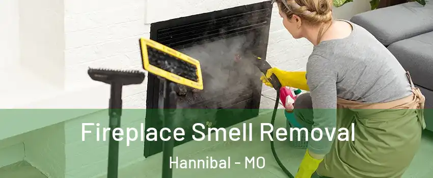 Fireplace Smell Removal Hannibal - MO
