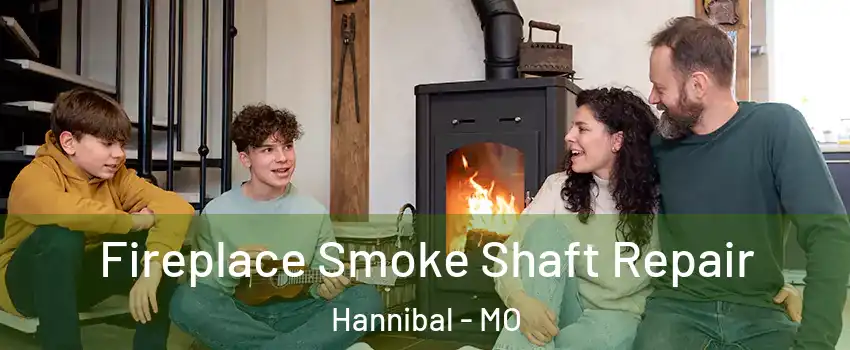  Fireplace Smoke Shaft Repair Hannibal - MO