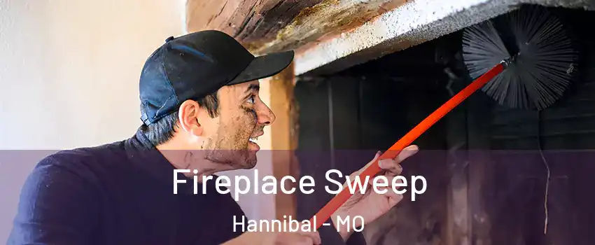  Fireplace Sweep Hannibal - MO