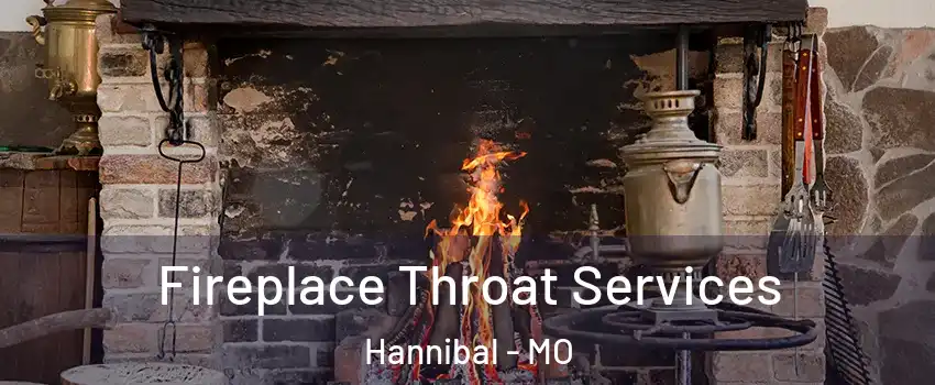  Fireplace Throat Services Hannibal - MO