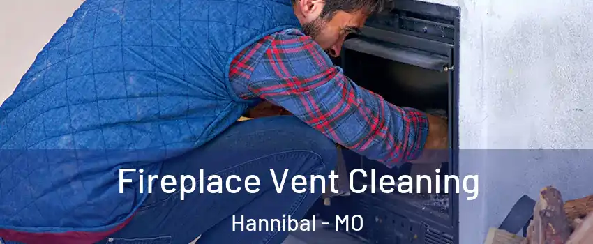  Fireplace Vent Cleaning Hannibal - MO
