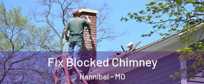  Fix Blocked Chimney Hannibal - MO